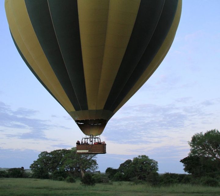 Balloon Safari (1)