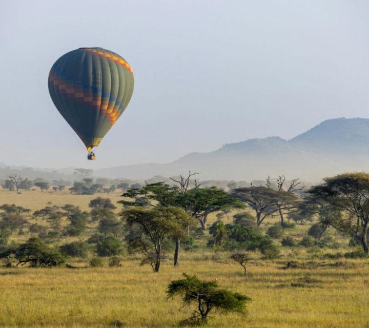Balloon Safari