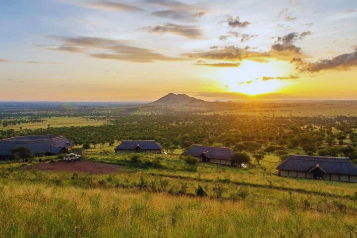 Mbalageti Tented Lodge (1)