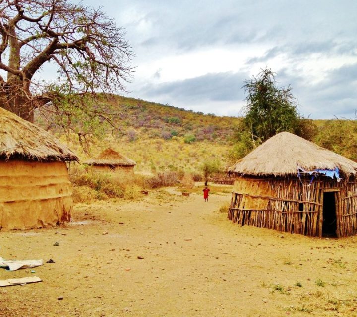 Tanzania Picture (16)